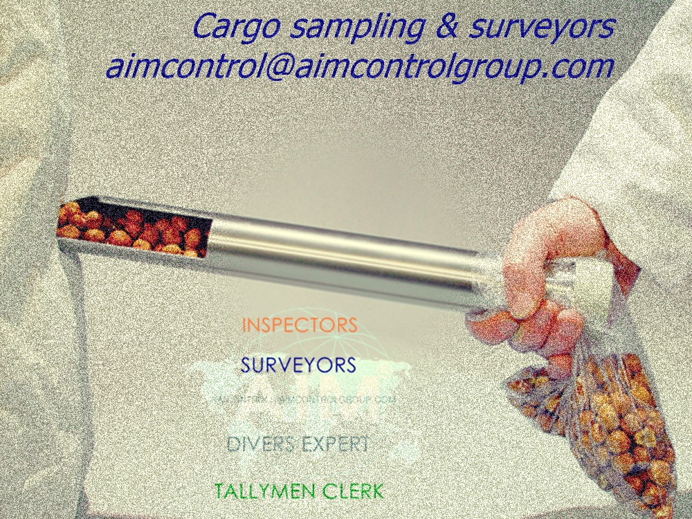 cargo_sampling_surveyor