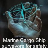The marine cargo ship surveyor
