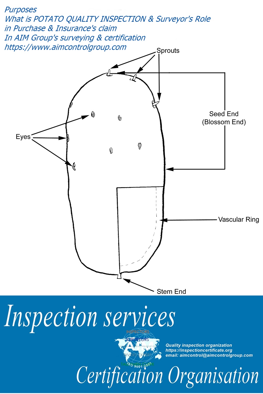 Quality_Potato_inspection_services