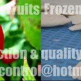 Fresh commodity/ Vegetable/ Fruits/ Frozen foods Inspection