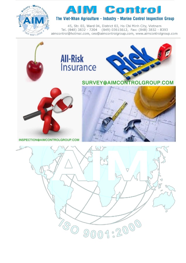 Risk-assessment-surveys-Insurance-loss-control-inspector