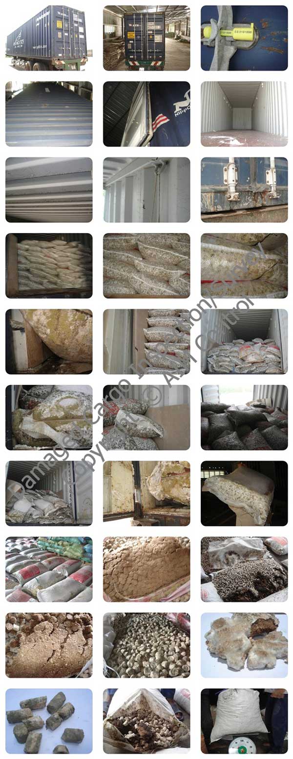Damage_cargo_survey_container_inspection