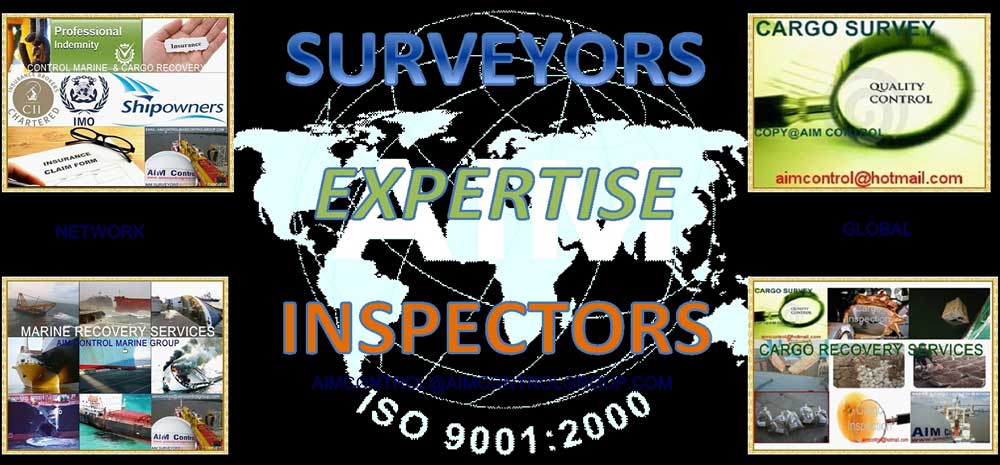 Damage_survey_services_in_insurance_claim_AIM_Control