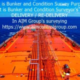 The Full on hire off hire condition surveying and certificate