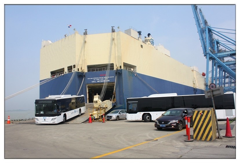 Vehicles-RoRo-Ship-Stowage-Secure-Control-Survey_5