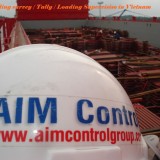 Pre-loading survey, Tally, Loading Supervision