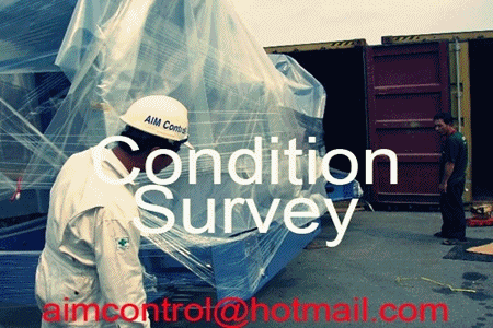 Cargo_survey_sampling_weighing_tallying_supervision_services