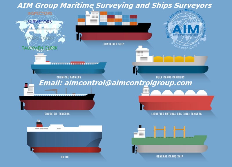 kind_ships_survey_and_surveyors___AIM_Group