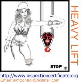 Sea-fastening inspection surveyor