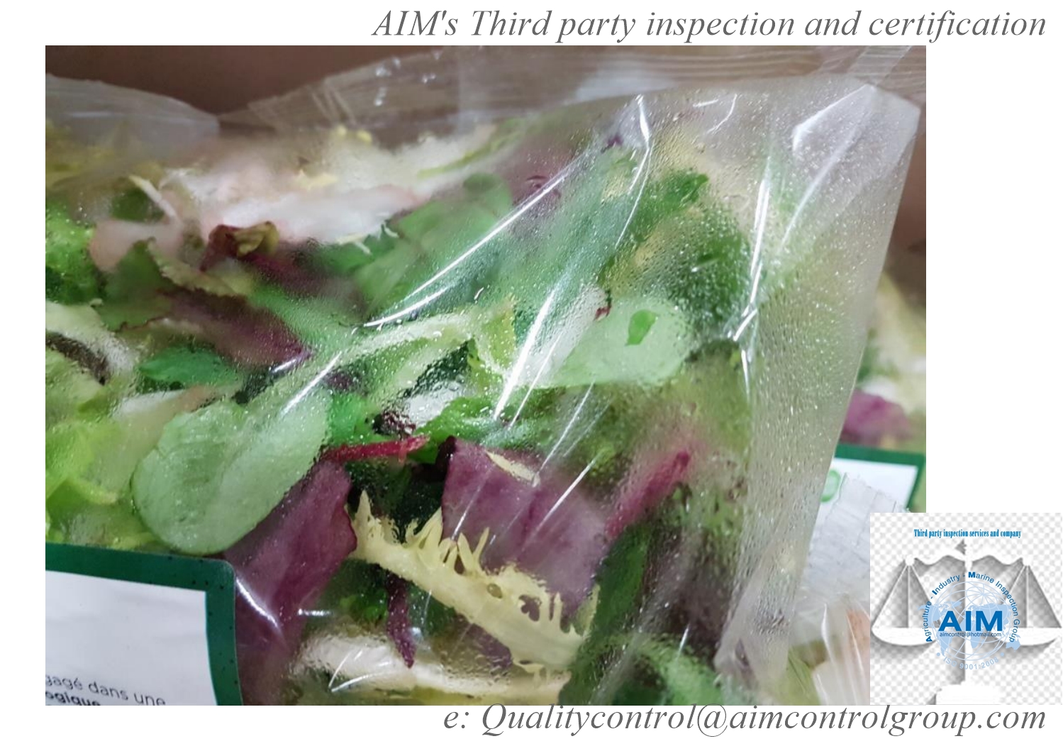fruit_and_vegetable_quality_inspection_certification__on_packaging_and_temperature