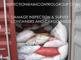 damage_container_cargo_inspector