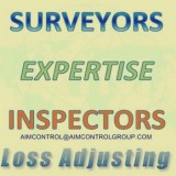 Marine cargo shortage and damage claims surveyor at port