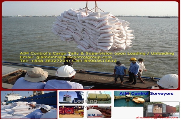 Cargo_tally_supervision_inspection_in_Hai_Phong
